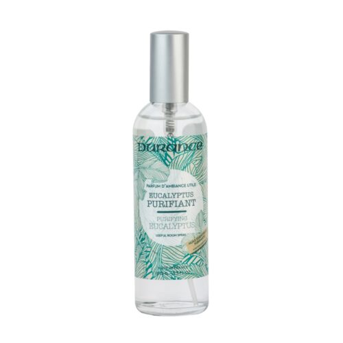 Raumspray 100ml, "Reinigender Eukalyptus"