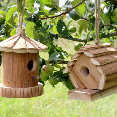 Vogelhaus