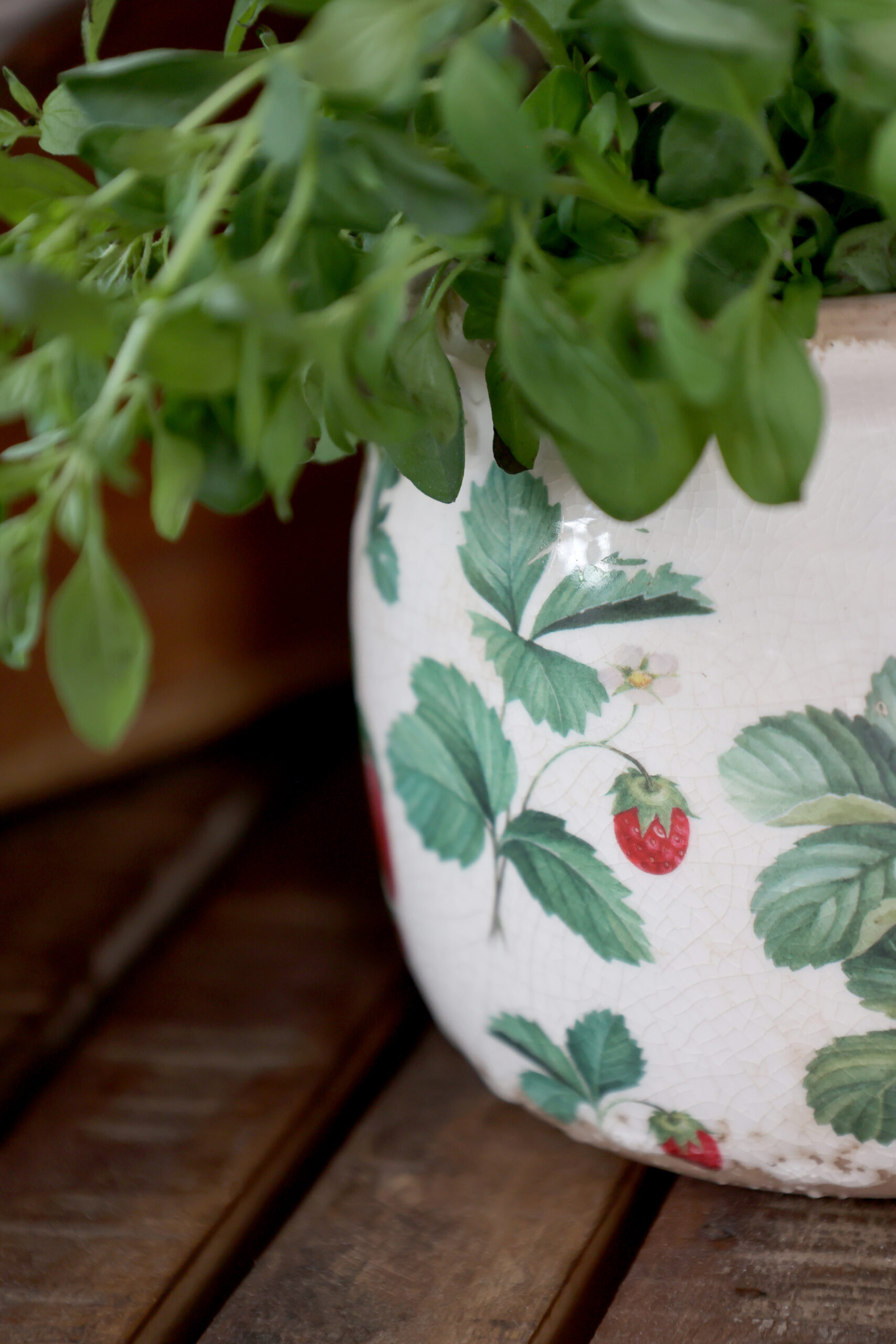 Übertopf "Fraises", Höhe 13 cm – Bild 2