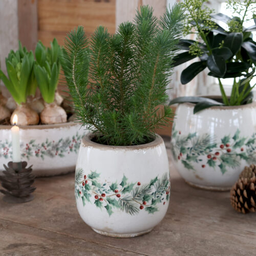 Chic Antique Übertopf mit Stechpalme